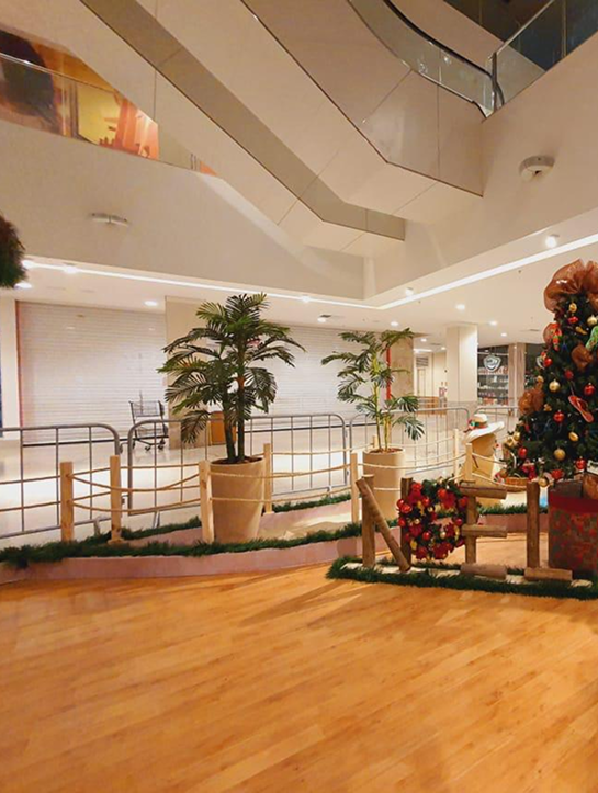 Imagem 2 do carrossel