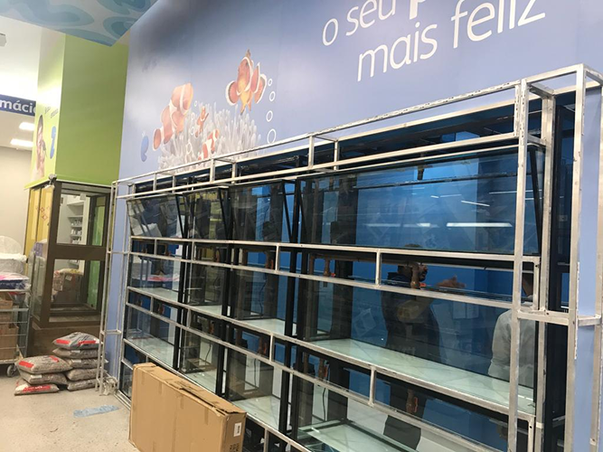 Imagem 3 do carrossel